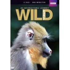 Hamilton, S.D.: An unforgettable journey WILD (Africa) 3dvd's film