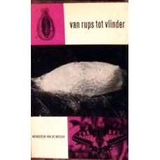 Wonderen van de natuur: Van rups tot vlinder door JP van den Eeckhoudt