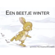 Stewart, Paul en Chris Riddell: Een beetje winter