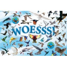 Star, F en  Wendy Horobin: Woesssj 