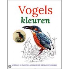 Kleurboek: Vogels kleuren, maar dan 40 prachtige afbeeldingen met kleurvoorbeeld