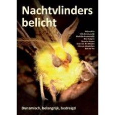 Nachtvlinders belicht, dynamisch, belangrijk, bedreigd