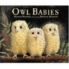 Waddell, Martin en Patrick Benson: Uilskuikentjes (karton uitvoering)