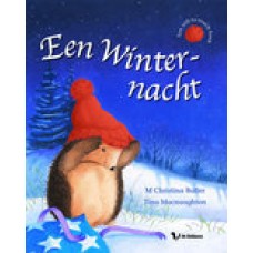 Butler, M. Christina en Tina Macnaughton: Een winternacht (een soft-to-touch boek)