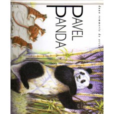 Remmerts de Vries, Daan: Pavel Panda